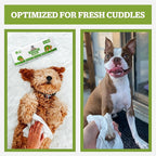 Pogi’s Dog Wipes Travel Packs – Hypoallergenic Pet Wipes for Paws, Body & Butt – Cleaning & Hydrating, Fragrance Free, 120-Count