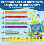 Sea Moss + Elderberry Gummies for Kids & Adults, 19-IN-1 Super Food with Spirulina, Algae Omega 3, Algae Calcium, Ashwagandha, Mushroom, Vitamins D3, C for Immune, Gut, Bone, Energy, Brain,Vegan 60Cts