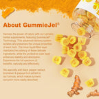 Sugar Free Turmeric Curcumin Filled Gummies 550mg for Adults, Ginger & Black Pepper | 95% Curcuminoids w/Prebiotic Probiotic & Postbiotic Blend, Support Immune & Digestive Health, Vegan, 60 Count