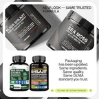 Shilajit 9000mg, Sea Moss 17500mg, Ginger & Black Seed Oil 4000mg, Ashwagandha 5000mg, Rhodiola Rosea, 1000mg Panax Ginseng 1500mg, All in 1 Supplement - Sea Moss & Shilajit Vitality Bundle