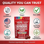 Sugar Savior Ceylon Cinnamon Berberine Gummies Apple Cider Vinegar Artichoke Turmeric Blueberry Ginseng Banaba Bitter Melon Black Pepper Vitamin D Zinc GLP1 Gummies 60 Count by Clean Nutra
