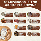1 Pack 5000MG Mushroom Gummies -10 Blend Organic Mushroom Supplement containing Lion's Mane and Reishi for Brain and Immune Boosting, Blueberry Flavor, Non-GMO, 60 Counts