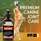 TRIXSYN Canine - Dog Hip and Joint Supplement - Liquid Hyaluronic Acid HA for Dog - Patented Liquid Formula for Senior Dogs - MHB3 Hylauronan - 6 fl oz