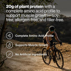 Momentous Vegan Protein Powder - 20 g Plant-Based Protein - NSF Certified for Sport - Gluten-Free - Non-GMO - 22 Servings for Essential Everyday Use - Chocolate