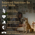 Shiba Inu Multivitamins, 90 Count, Made in the USA with Real Bacon