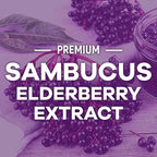 Elderberry Gummies - Black Elderberry Extract Immune Support Gummy with Vitamin C, D3 and Zinc - Sambucus Immune Health Support Supplement for Kids & Adults, Black Elder Berry Vitamins - 60 Gummies
