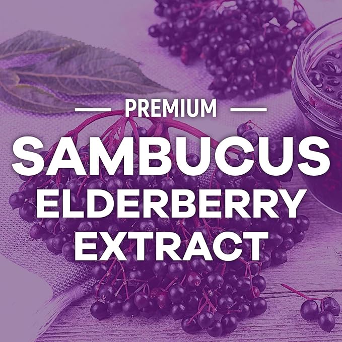 Elderberry Gummies - Black Elderberry Extract Immune Support Gummy with Vitamin C, D3 and Zinc - Sambucus Immune Health Support Supplement for Kids & Adults, Black Elder Berry Vitamins - 120 Gummies