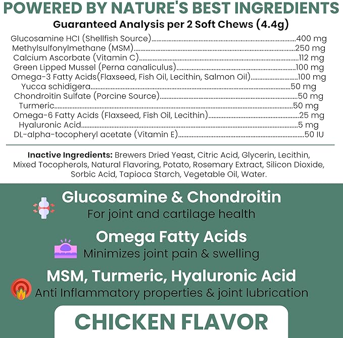 Chew + Heal Labs Glucosamine for Dogs Hip and Joint Supplement - 240 Senior Dogs Mobility Soft Chews - Made with Glucosamine, MSM, Chondroitin, Green Lipped Mussels and More - Made in The USA