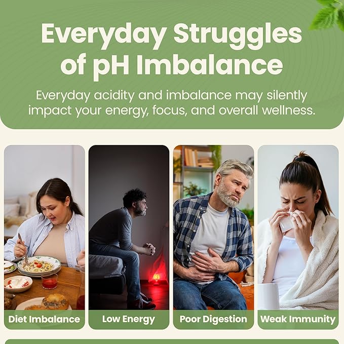Nature’s Brands Acid-2-Alkaline Supplements for Energy, Digestion & Immunity - pH Balance & Detox Support with Turmeric, Bilberry, Barley Grass & Burdock - 90 Vegetarian Capsules