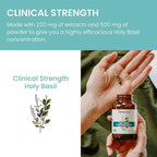 Himalaya Holy Basil - Herbal Adrenal Support for Stress Relief, Relaxation, Energy Support and Occasional Sleeplessness - Vegan, Non-GMO, Gluten Free, 720 mg, 60 Capsules