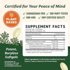 Vegan Omega 3 Algae Oil | Plant Based DHA EPA | Sustainably Sourced, No Carrageenan, Non GMO | Heart, Brain, and Eye Health | Fish Oil Alternative | Algae Omega 3 Supplement | 120 Softgel Capsules