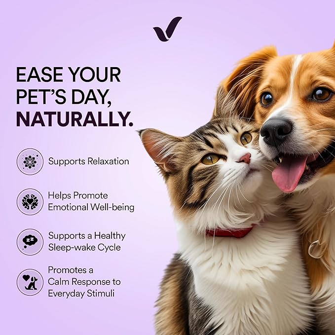 Pet Calming Oral Strips for Dogs and Cats – 60 Strips, Fast-Acting Anxiety Support Supplement with Melatonin and L-Theanine, Natural Support for Travel, Thunder, Grooming – Blueberry Mint