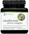 Youtheory Mushroom Stress Complex - 6 Mushroom Blend - Stress Management Support* - Immune Support - L-Theanine Supplement - Dairy, Soy & Gluten Free - 60 Vegetarian Capsules
