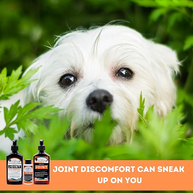 TRIXSYN Canine - Dog Hip and Joint Supplement - Liquid Hyaluronic Acid HA for Dog - Patented Liquid Formula for Senior Dogs - MHB3 Hylauronan - 6 fl oz (3)