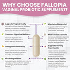 Probiotics for Women with Prebiotic Cranberry d Mannose Digestive Enzymes & Hibiscus 34 Strains 100 Billion CFU Feminine Care Supplement for Vaginal Gut Urinary Health and pH Balance Support