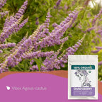 Organic Chasteberry Tea (4 oz.) – Vitex Agnus-cactus Herb - Chaste Tree Berry Tea for Women’s Balance – Supports Hormonal Harmony, PMS & Cycle Comfort
