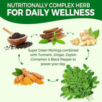 Moringa Gummies for Women Men w/Probiotic Turmeric Ginger Ceylon Cinnamon, Sugar Free, Organic Moringa Powder Capsules Alternatives, Pure Moringa Leaves Green Superfood Supplement - Vegan, 120Cts