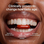 Timeline Mitopure Urolithin A Supplement Softgels - Clinically Proven Support for Healthy Aging and Cellular Renewal - Mitoceutical for Muscle Support and Longevity