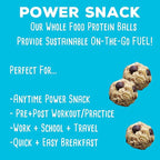 simplyFUEL Whole-Food Protein Balls (Chocolate Almond Coconut), 8 g High-Protein, Gluten-Free, Healthy Snack for Adults & Kids, 9.6 oz