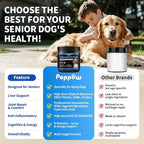 Senior Dog Liver & Joint Supplement – Same, Milk Thistle (Silybin), Glucosamine, MSM for Liver Health Detox, Mobility, Joint Pain Support, Cognitive & Vitality Support, Beef Flavor, 90Ct