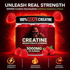 Creatine Monohydrate Gummies 5g Sugar Free Creatine with Vitamin B12 and L-Taurine | Muscle Growth for Men and Women | Low Calorie Formula 120 Gummies for 30 Servings, Raspberry