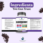 American Standard Supplements Elderberry Extract with Quercetin, Vitamin C, D3, Ginger, Zinc, Turmeric, Astragalus and Echinacea – 60 Capsules, 30 Servings