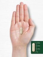 Carlyle Garcinia Cambogia Extract | 180 Capsules | Non-GMO, Gluten Free Supplement