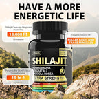 Shilajit Supplement with Sea Moss, Ashwagandha, Tongkat Ali - Shilajit Pure Himalayan Organic Fulvic Acid Capsules - 90 Count