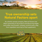 Natural Factors - HerbalFactors Urinary Flow Formula, Supports Urinary Health, 90 Capsules