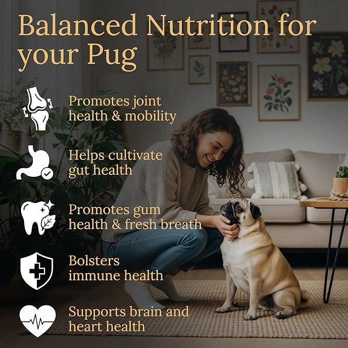 Multivitamins, Balanced Nutrition for Your Pug, 90 Count, Made in the USA with Real Bacon