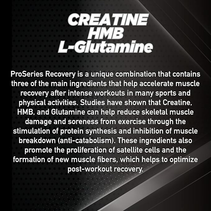 Pro Series Recovery Creatine HMB L-Glutamine is a Powerful Recovery Formula Designed to Accelerate Muscle Repair and Support Lean Muscle Growth After Intense Workouts.