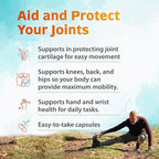 Zenith Labs Joint N-11 Joint Health Supplement