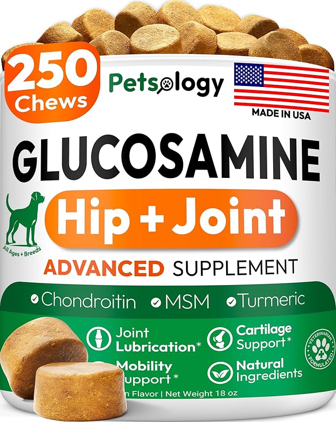 Glucosamine for Dogs - 250 Chews with Chondroitin - Hip and Joint Supplement with MSM - Turmeric - Omega 3 - Joint Pain Relief - Advanced Support for Dog Health - For Large, Medium & Small Breeds