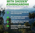 1 Body Ashwagandha Complex Supplement, Focus and Energy Support, 120 Vegan Capsules