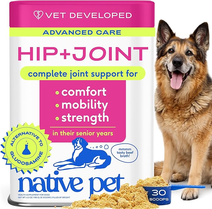 Native Pet Hip & Joint Advanced Care Dog Joint Supplement Powder for Mobility & Movement Support, Joint Supplement for Dogs with HMB, UC-II Collagen, Green Lipped Mussel & Hyaluronic Acid – 30 Scoops