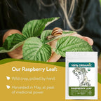Organic Raspberry Leaf Tea Bags (40 TeaBags) - Red Rasberry Leaf Tea for Womens Cramps, Hormone Balance, Fertility – Te de Hoja de Frambuesa Roja