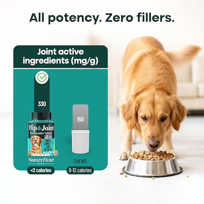 Natureflow Hip & Joint Supplement for Dogs, 300mg Green-Lipped Mussel for Dog Arthritis Pain Relief, Glucosamine, MSM & Chondroitin, Zero Sugar, Large Medium Small Breeds, 100 Chewable Tablets