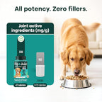 Natureflow Hip & Joint Supplement for Dogs, 300mg Green-Lipped Mussel for Dog Arthritis Pain Relief, Glucosamine, MSM & Chondroitin, Zero Sugar, Large Medium Small Breeds, 100 Chewable Tablets