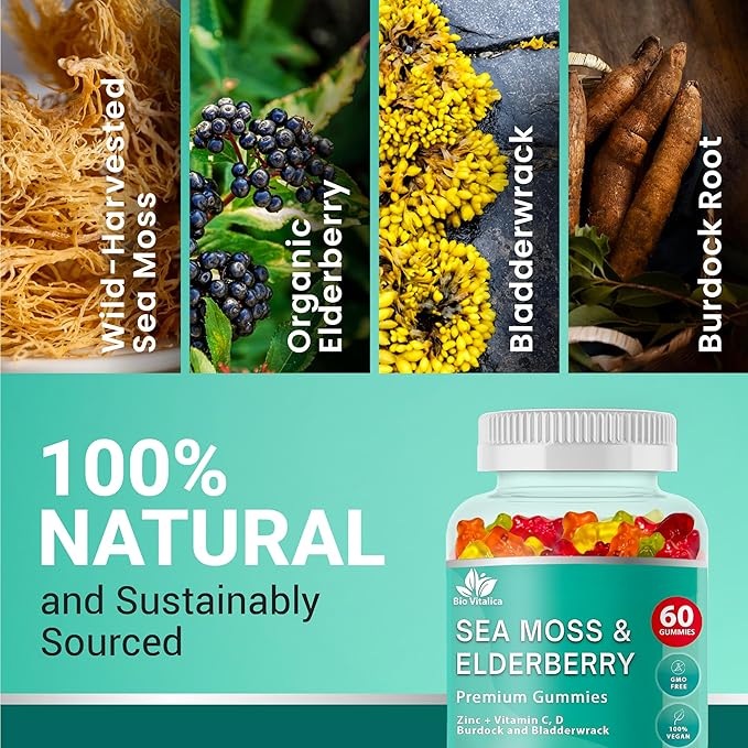 BIO VITALICA Irish Sea Moss Gummies with Elderberry – USA Made Vegan Gummies with Vitamin C, D & Zinc – Immune Support Supplement with Bladderwrack & Burdock Root for Adults & Kids – 2 Packs