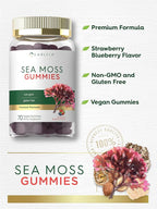 Carlyle Sea Moss Gummies | 70 Count | Strawberry Blueberry Flavor | Vegan, Non-GMO, Gluten Free Supplement