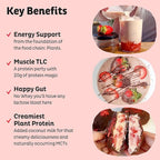 KOS Vegan Protein Powder, Strawberries & Cream USDA Organic - Low Carb Pea Protein Blend, Plant Based Superfood with Vitamins & Minerals, Gluten Free - Meal Replacement for Women & Men - 28 Servings