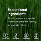 Vibrant Health, U.T. Vibrance Powder, Crisis Intervention for Urinary Tract Health, 10 Servings