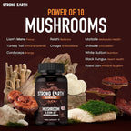 Mushroom Gummies with Ashwagandha - 350mg 10-in-1 Mushroom Blend - Lions Mane, Cordyceps, Reishi, Chaga, Turkey Tail, Maitake, Shiitake - Gelatin Free, Vegetarian - 60 Count (2 Per Serving)