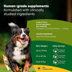 Rooted Owl Metabolism Support - L-Carnitine Supplement for Dogs and Cats to Support Healthy Weight - Dog and Cat Supplement - 60/ct