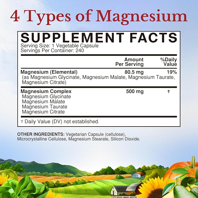 Vitalitown Magnesium Complex Supplement 500mg - NSF Certified Magnesium Glycinate, Malate, Taurate & Citrate - Chelated High Absorption & Gentle on Stomach - Vegan Non-GMO 240 Capsules