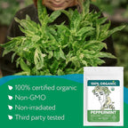 Organic Peppermint Tea Bags (40 TeaBags) - Peppermint Tea Organic - Te de Menta Organico Natural - Herbal Tea for Energy, Digestion, Nausea, Motion Sickness, Respiratory Support, Stress Relief