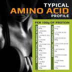 MFL Muscle Whey Protein l 28g of Protein l 8g BCAAs l Keto Friendly l Low Carbs l 2 lbs (Chocolate Lava)