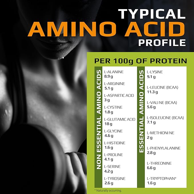 MFL Muscle Whey Protein l 28g of Protein l 8g BCAAs l Keto Friendly l Low Carbs l 5 lbs. (Strawberry Cake)