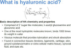 Hyalogic Synthovial Seven Hyaluronic Acid Liquid & Resveratrol Capsules - HA Joint Support - Vegan - 1 oz
