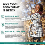 USDA Organic Lymphatic Drainage Supplement - Echinacea | Elderberry | Dandelion | Rosehip | Cleavers | Calendula | Burdock - Made in USA - Lymph System Drops - Immune Support, Cleanse & Detox, 4 fl oz